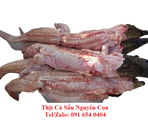 Thịt Cá Sấu Nguyên Con