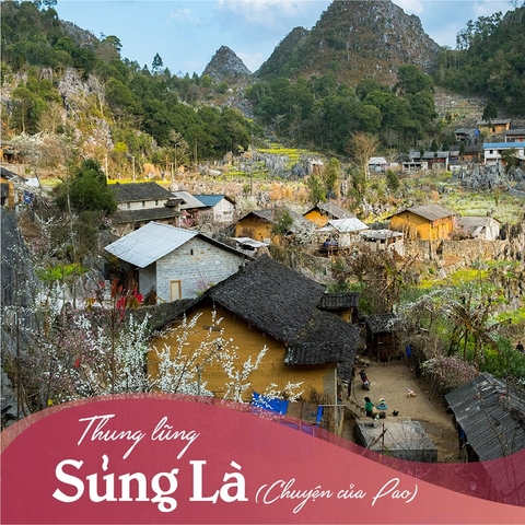 Tour Hà Giang mùa hoa tam giác mạch 01