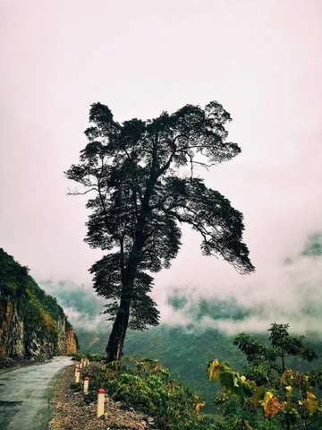 Tour Hà Giang - Cao Nguyên Đá Đồng Văn 3 đêm 2 ngày hàng ngày từ Hà Nội