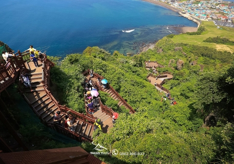 Tour du lịch đảo jeju hàn quốc