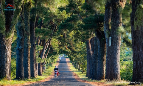 Tour Pleiku - Buôn Mê Thuột mùa hoa Cafe khám phá Tây Nguyên hùng vĩ