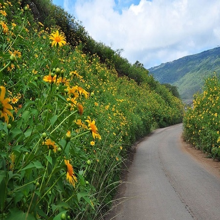 Tour Đà Lạt 1 ngày 01