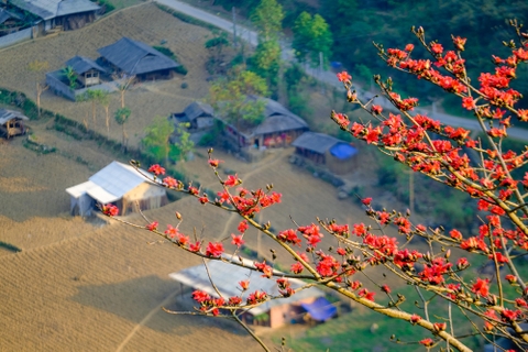 Tour Hà Giang mùa hoa gạo 3N2Đ - Hà Giang, Cao nguyên đá Đồng Văn 1