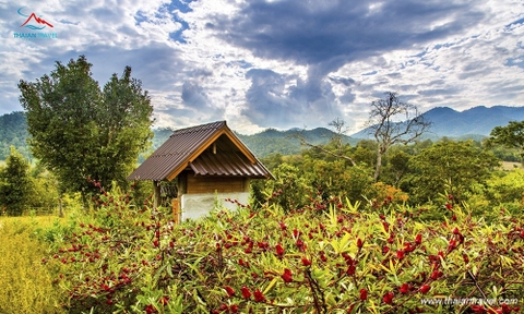 Ngày 4 Tour Chiang Mai - Chiang Rai 5 ngày 4 đêm khởi hành từ Hà Nội