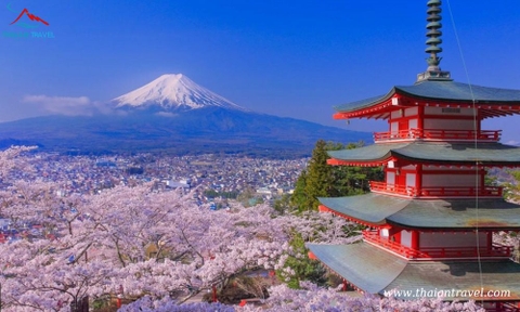 Tour mùa thu Nhật Bản: HÀ NỘI- OSAKA –KOBE – KYOTO– NÚI PHÚ SĨ – TOKYO