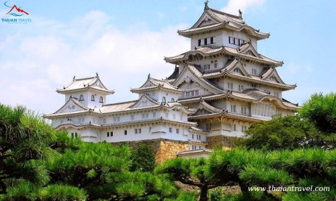 Tour Du lịch Nhật Bản cung đường vàng: OSAKA – NARA – KYOTO – NAGOYA – PHÚ SĨ – TOKYO