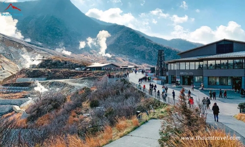 Tour Du lịch Nhật Bản mùa lá đỏ: TOKYO – FUJI – MATSUMOTO – KAMIKOCHI – SHIRAKAWAGO – NAGOYA