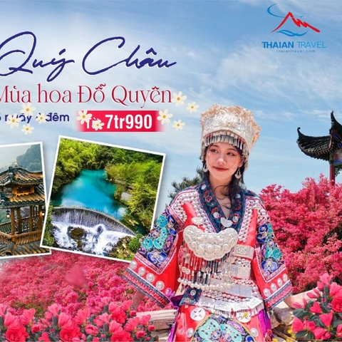 Tour Quý Châu hoa đỗ quyên 4 ngày 3 đêm -1