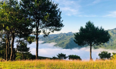 Tour Tà Xùa - Xím Vàng 2 ngày 1 đêm - Tây Bắc mùa lúa chín