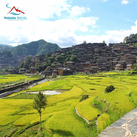 Tour Quý Châu: Thiên Hộ Miêu Trại - Trấn Viễn Cổ Trấn - Tiểu Thất Khổng 1