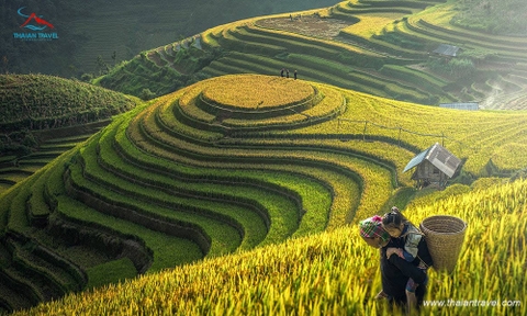 Tour Tây Bắc