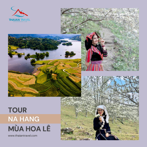 Tour Na Hang mùa hoa lê 2023: HÀ NỘI – NA HANG - VƯỜN HOA LÊ