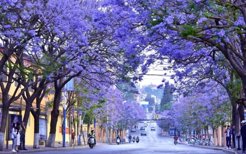 Tour Hà Khẩu - Thạch Lâm - Côn Minh - Di Lặc - Mông Tự 5 ngày 4 đêm 1