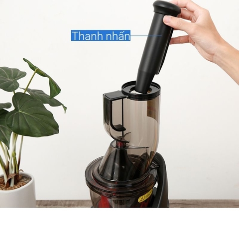 Máy ép chậm Kalite KL - 550