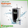 Máy lọc nước Hydrogen KG100HQ