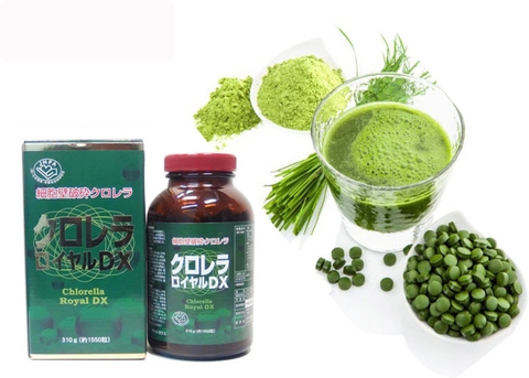 Tảo lục Chlorella Royal DX – elisashop.vn