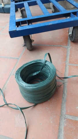 Dây buộc màu xanh