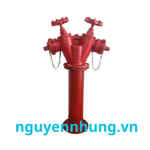 Trụ chữa cháy 2 cửa D65 Trung Quốc