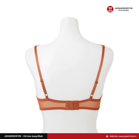 Áo lót nữ ren Sweet Bra Gunze JB6029H