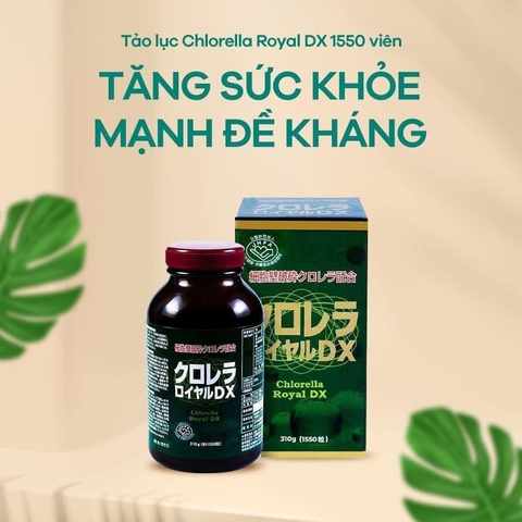 Tảo lục hoàng gia Chlorela Royal DX