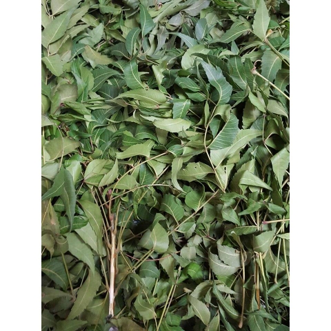 LÁ NEEM KHÔ -200gr