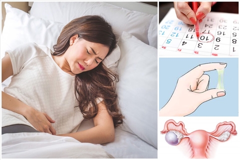 5 bệnh phụ khoa dễ gây vô sinh nữ mà chị em cần biết