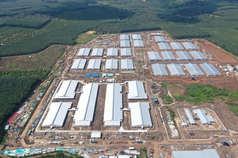 CÔNG TY TNHH CHĂN NUÔI NEWHOPE BÌNH PHƯỚC