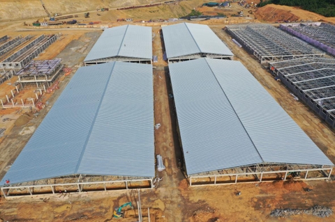 Khu liên hợp sản xuất, chăn nuôi công nghệ cao Xuân Thiện - Thanh Hóa I