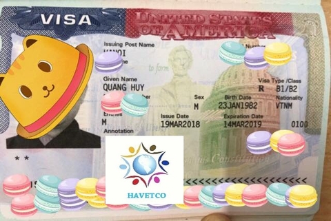 Bạn chọn đơn vị nào xin visa cho bạn? Hãy đến với Công ty tư vấn du học HAVETCO!