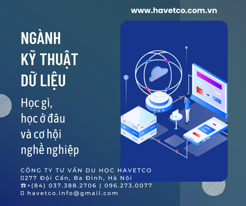 Ngành Kỹ thuật dữ liệu: Học gì, học ở đâu và cơ hội nghề nghiệp