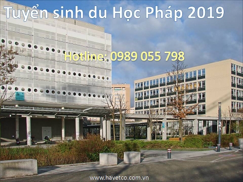 Du học Pháp 2019 - Các trường đào tạo cử nhân ngành kinh tế - quản lý