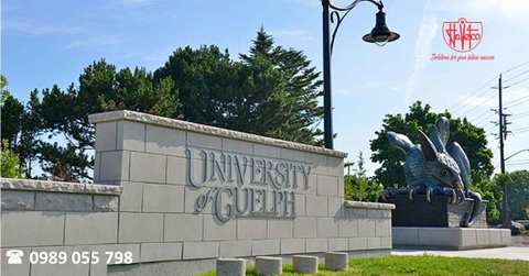 Du học Canada tại Đại học Guelph (University of Guelph)