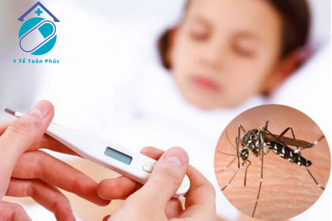 Diễn biến của sốt xuất huyết và cách chăm sóc hiệu quả cho trẻ em