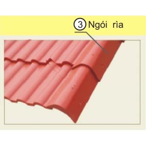 Ngói rìa 2