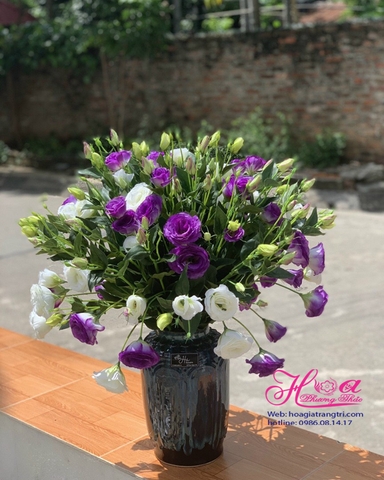 Hoa giả-Bình hoa cát tường