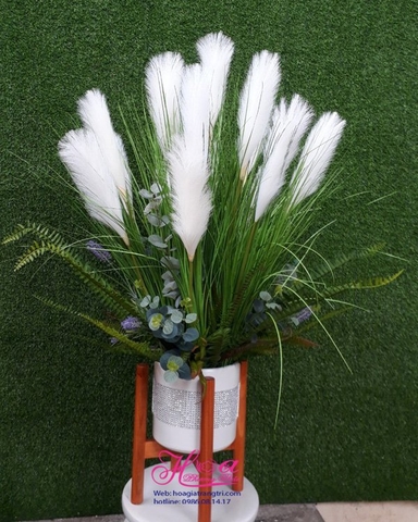 Hoa lau trắng