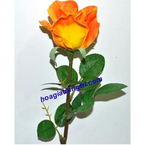 Hoa hồng cao su 2 - Giá bán lẻ