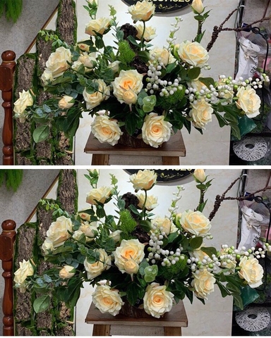 Bình Hồng lụa