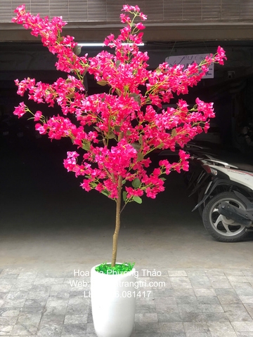 Cây hoa giấy (Cây giả)