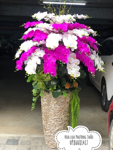 Hoa lan hồ điệp giả cao cấp( mẫu 3)