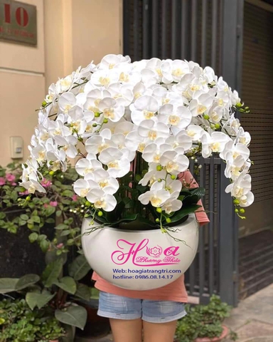 Hoa giả-Chậu hoa địa lan trắng