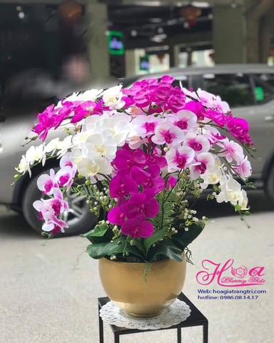 Hoa giả-Bình hoa lan hồ điệp hồng trắng