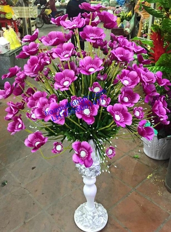 Bình hoa cúc bô xi