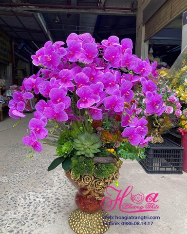 Bình hoa Phong lan hồng