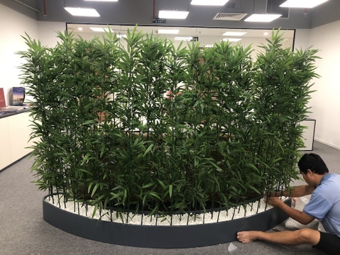 Trúc quân tử  giả