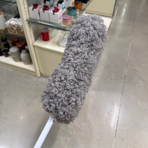 Cây lau bụi phất trần L1