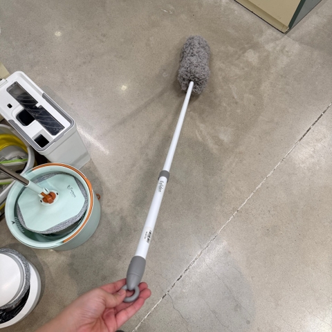 Cây lau bụi phất trần L1
