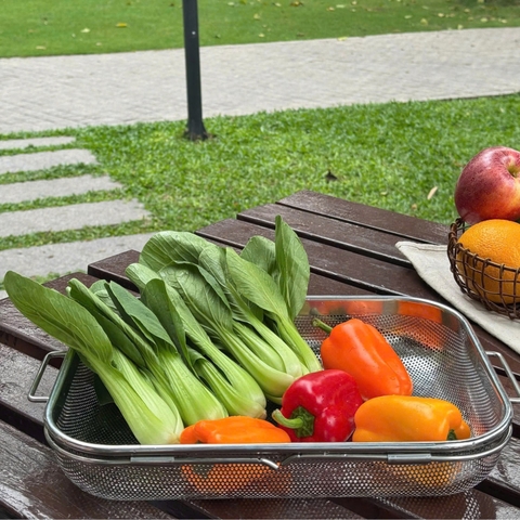 Rổ gác inox trên bồn rửa bát điều chỉnh độ dài Kaiyo