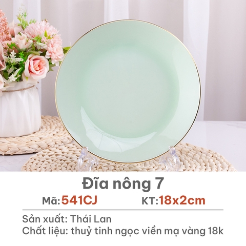 Đĩa nông Opal Xanh ngọc 20cm - 541CJ