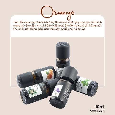 Tinh dầu 10ml 79B Orange